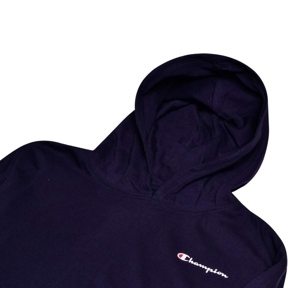Champion Big and Tall lightweight Hoodie - Picture 2 of 4
